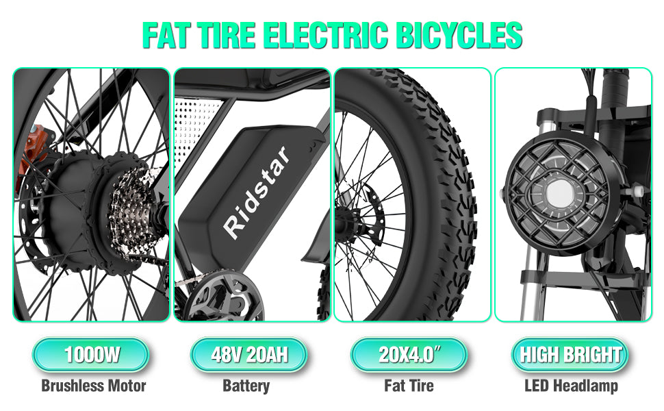 Ridstar Upgraded Q20 1000W Fat Tire Electric Bicycle