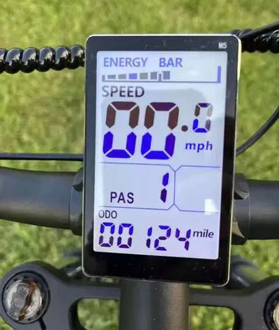 Ridstar LCD Display